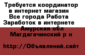 Требуется координатор в интернет-магазин - Все города Работа » Заработок в интернете   . Амурская обл.,Магдагачинский р-н